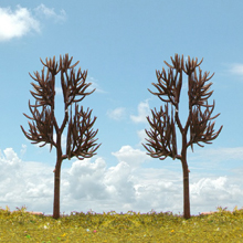 model trees